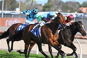 railway stakes field|2023 Railway Stakes: Final Field, Barriers and Market.